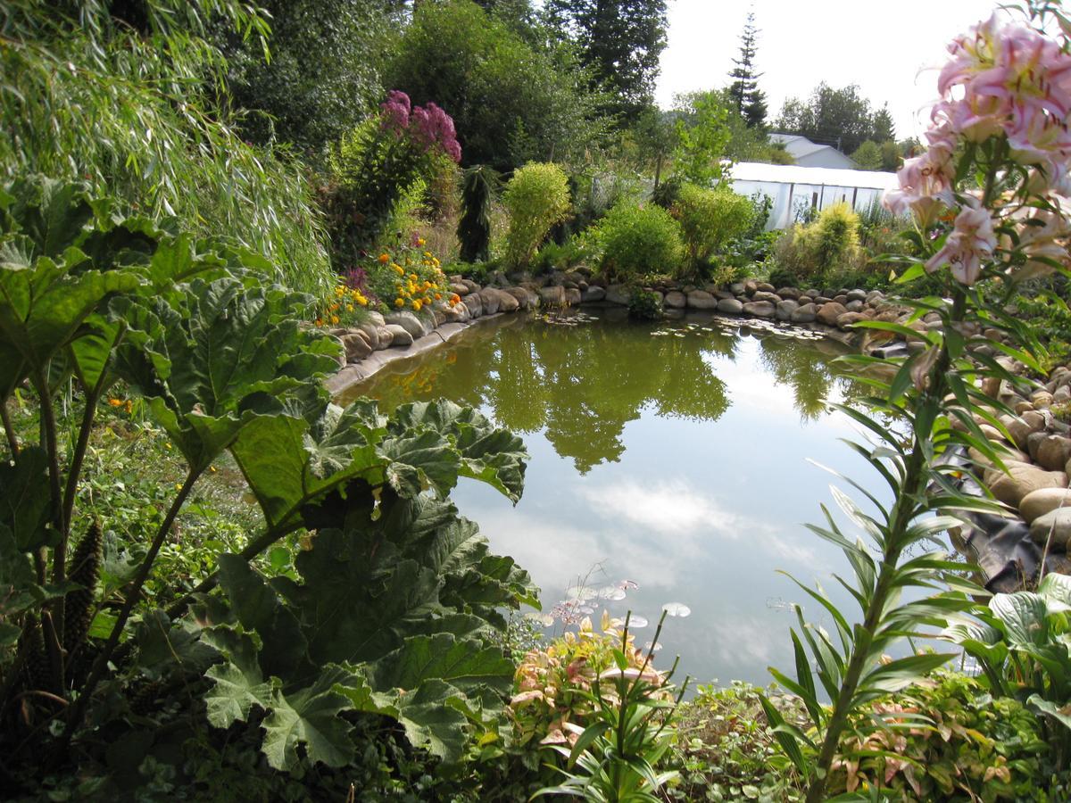 Cedar Acres Vacation Rental Fanny Bay Buitenkant foto