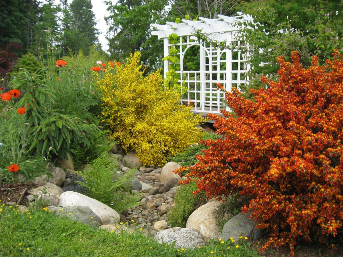 Cedar Acres Vacation Rental Fanny Bay Buitenkant foto